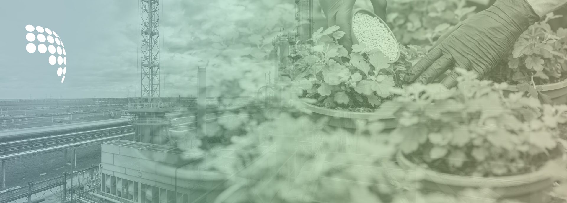 Buying 100% share interest of a New Nitrogen Fertilizer Unit and Land